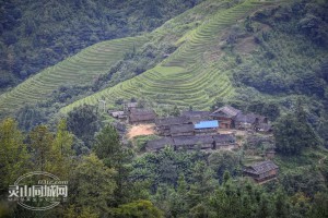 广西钦州灵山县地域文化,广西钦州灵山有多少个村