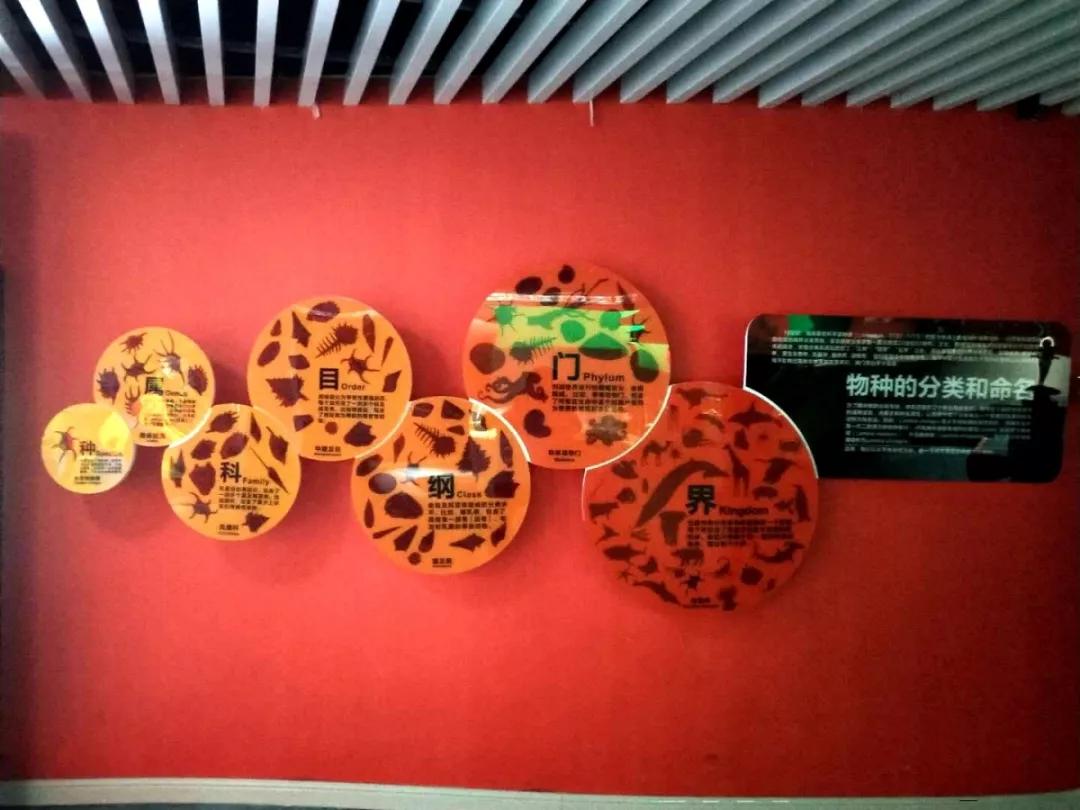 海底世界搬到自己家,海底世界聊城入园