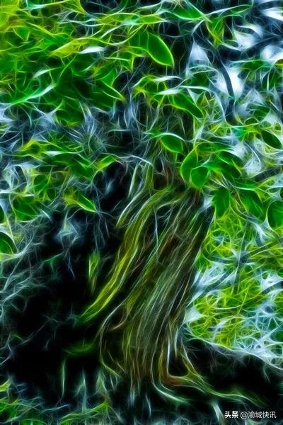 重庆无症状感染者最新情况,重庆无症状感染者在哪个区