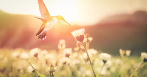 健康咒语每天三遍身体越来越好,疗愈身体的神奇音乐完整版