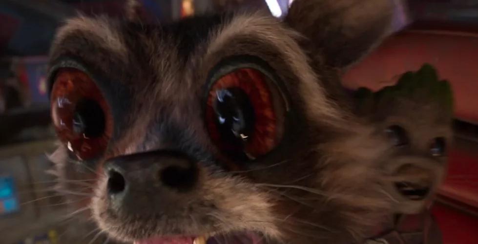 漫威英雄第一次看到火箭浣熊,漫威里面的浣熊