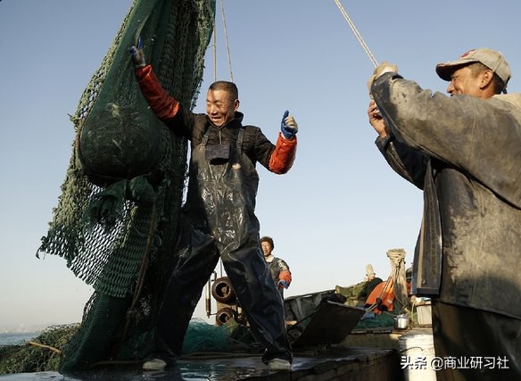 渔民直播卖梭子蟹,67岁老渔民直播