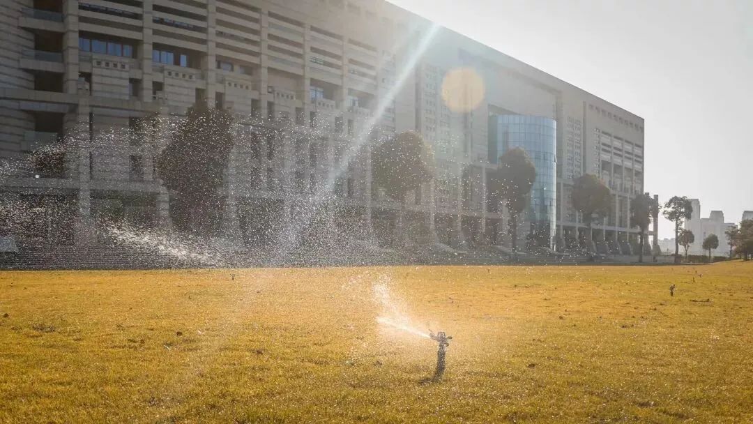 看,这是属于泉信的秋韵