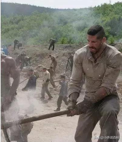 看了50部电影总结出来的经验,很多人推荐电影