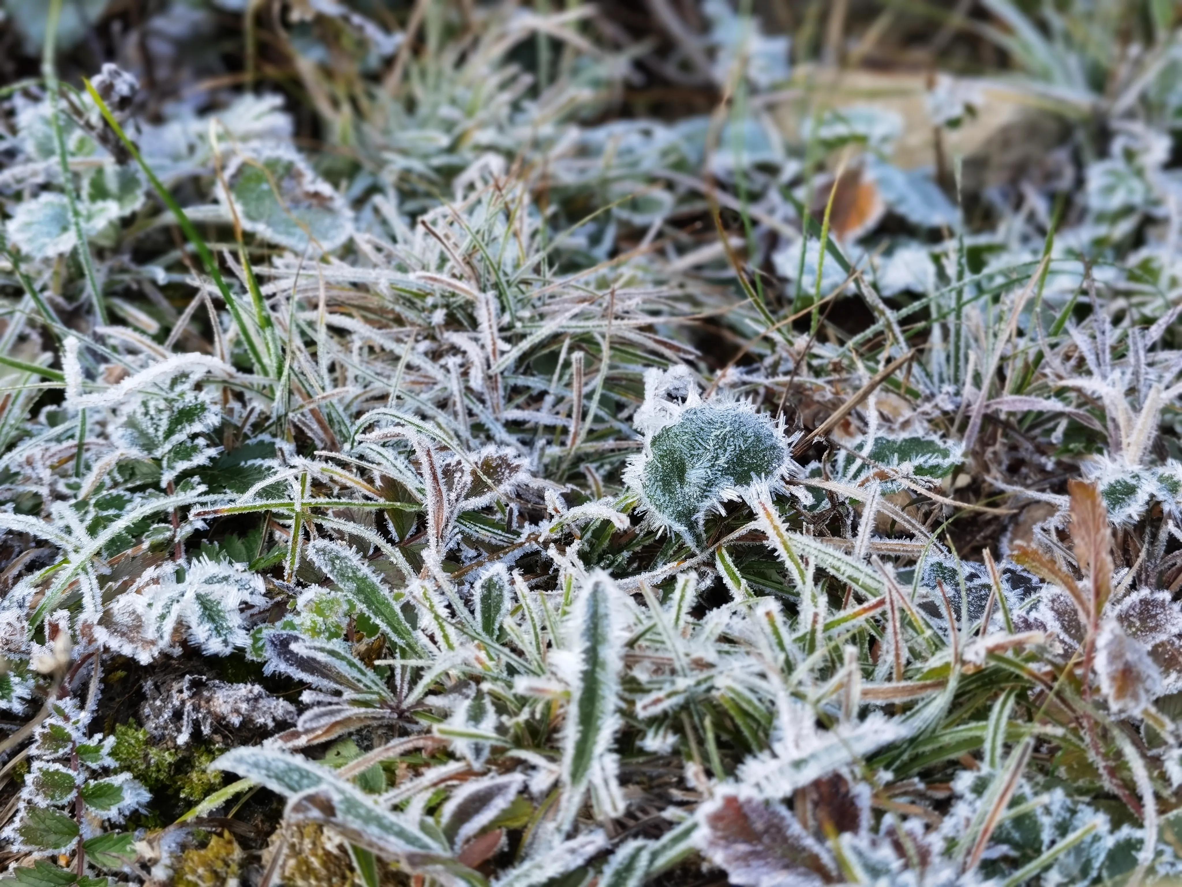 都知夏日驼梁美，秋季呢？阜平花塔村进山带您领略最美的秋日驼梁