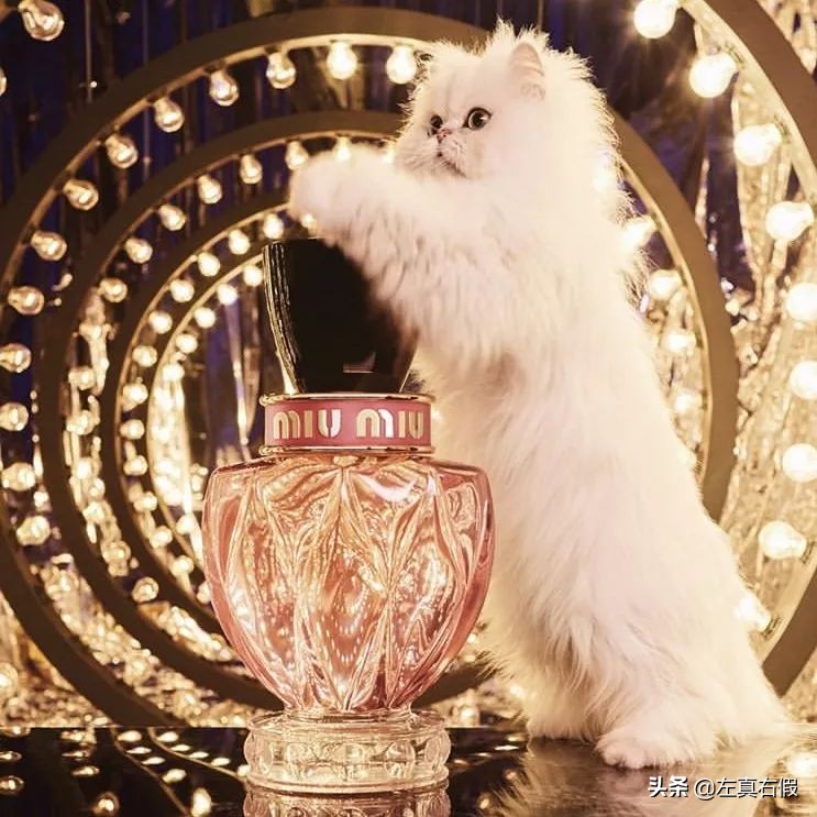 咦，你闻起来好好吃