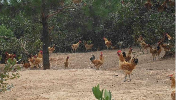 入职一周内要做哪些事,入职后为什么会被放养一段时间