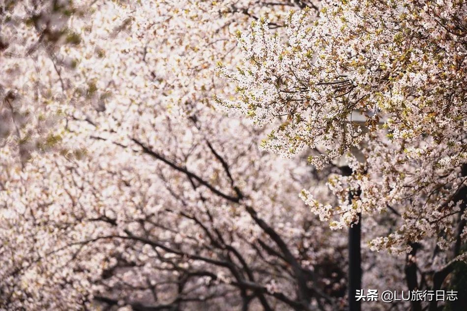 2023山东高考大学推荐,高考学子看过来