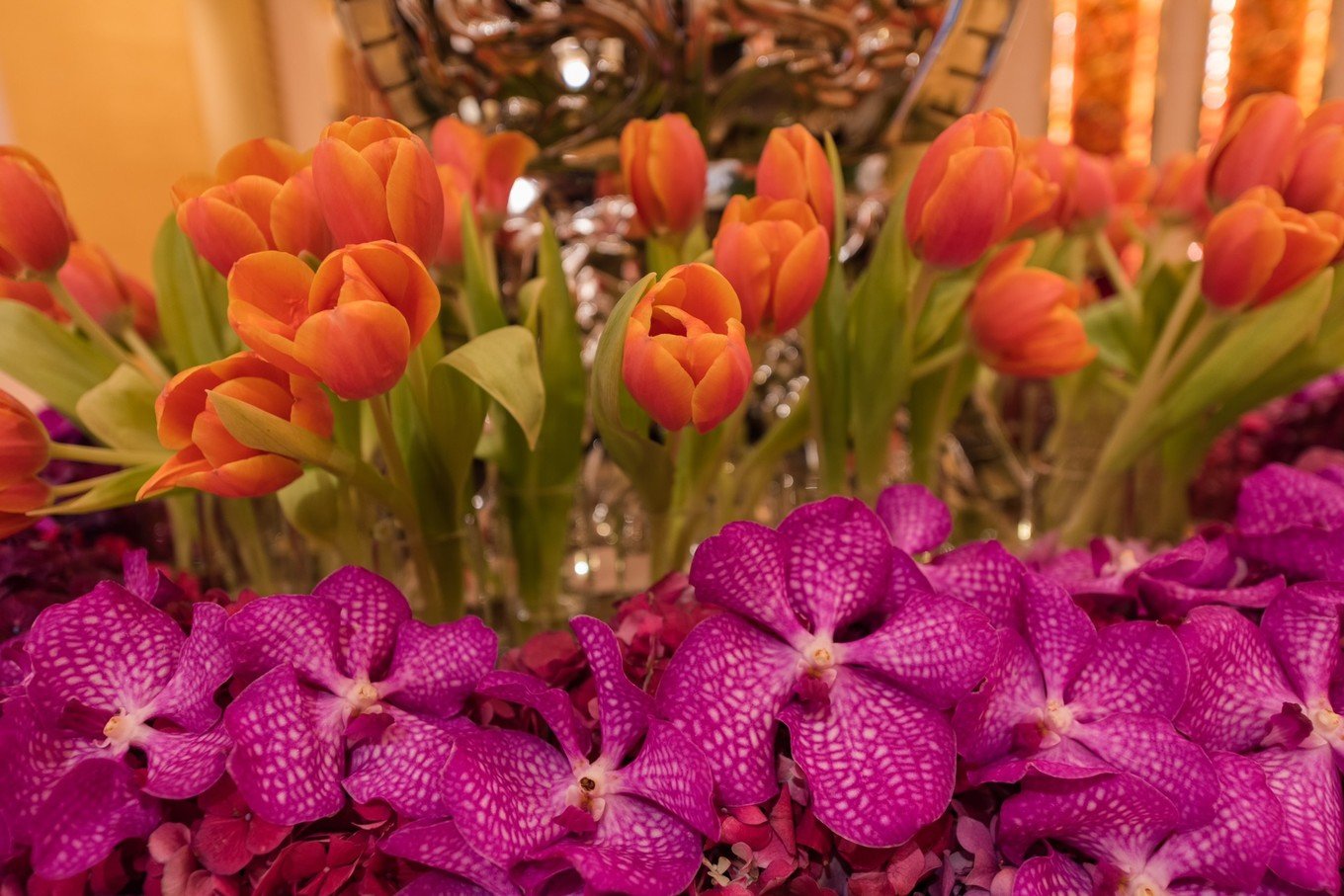 珠海体验港珠澳大桥,珠海往返澳门攻略