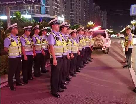 桂林一晚查获38只醉猫”，这种行为等于谋杀！