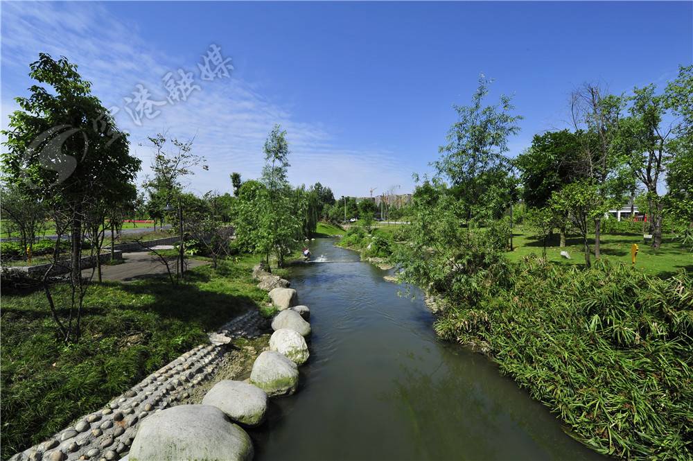 一条河记载了时光的变迁与沧桑,从一条河开始的无限进化免费阅读