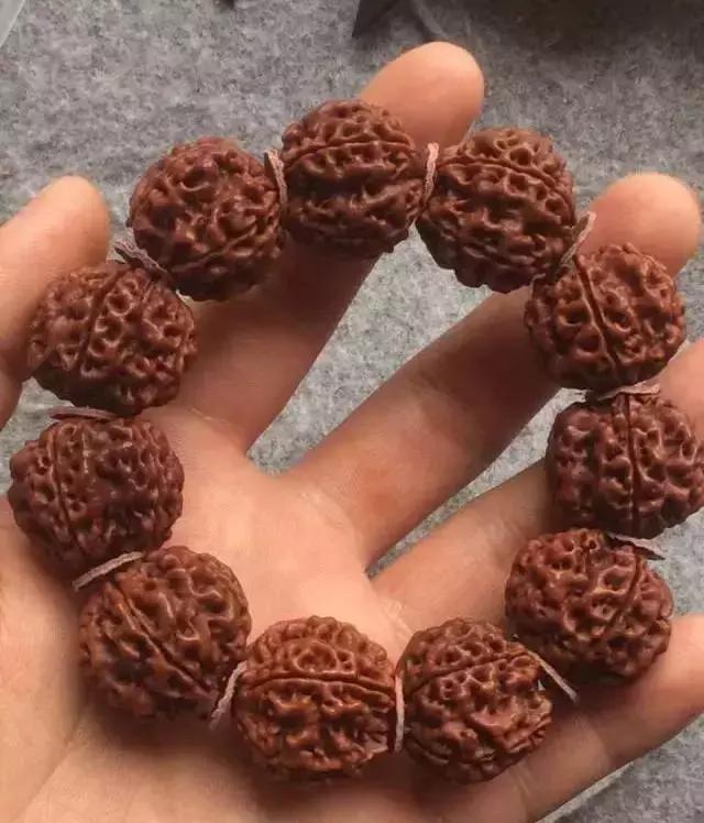 金刚菩提变黑怎么补救,金刚菩提变黑后用什么刷子