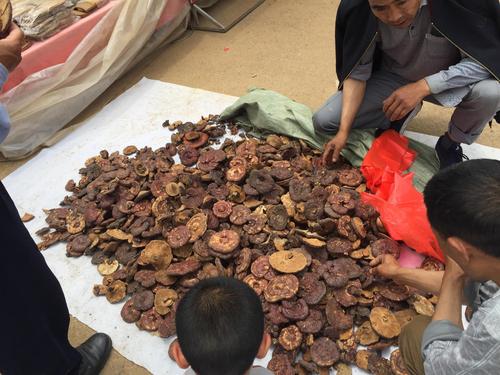 赚钱赚钱赚钱赚钱,真实赚钱项目业余时间如何赚钱