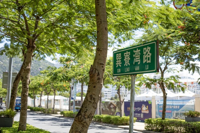 惠州出海冲浪游攻略,惠州出海攻略