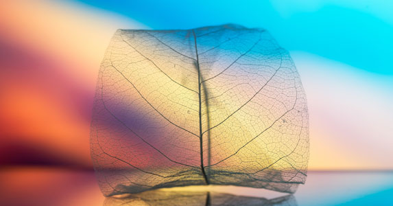 故事:把胎位不正的孩子拿掉后,丈夫提出离婚