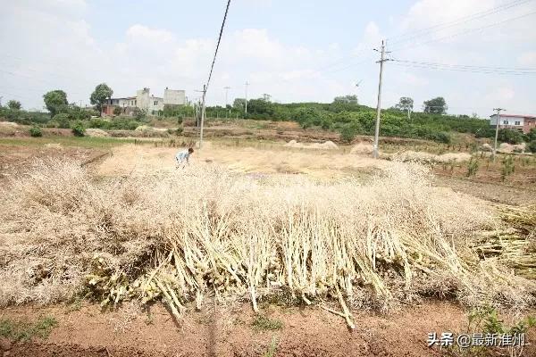 成都健康证有效期一般多久,办了健康证还需要隔离吗