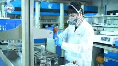 推荐几款炒菜不粘锅,公认最好的不粘锅