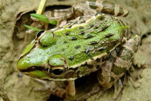 十万块钱投资哪个行业好,普通人可以做十大暴利行业