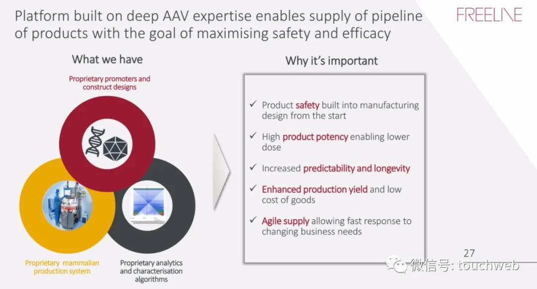 基因治疗最新突破上市公司,基因疗法上市