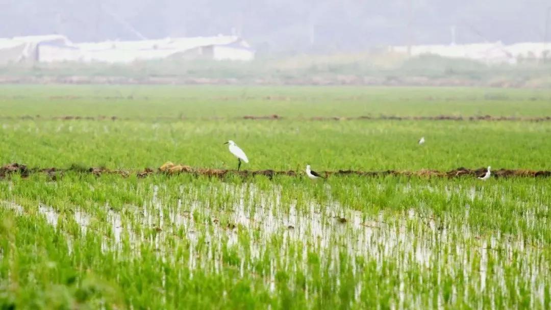 下半年全面开挂成功“上位”！我敢打赌，这是你从未见过的宝坻