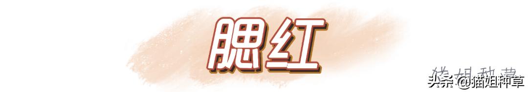 bobbibrown眼影倪妮,倪妮bobbibrown粉霜