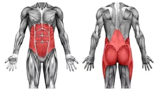 减肥束腰收腹神器危害,束腰有助于减肥吗