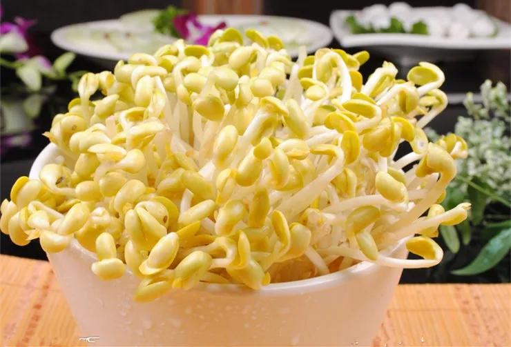 三年级写作技巧例文,仿写作文的方法与技巧三年级全册