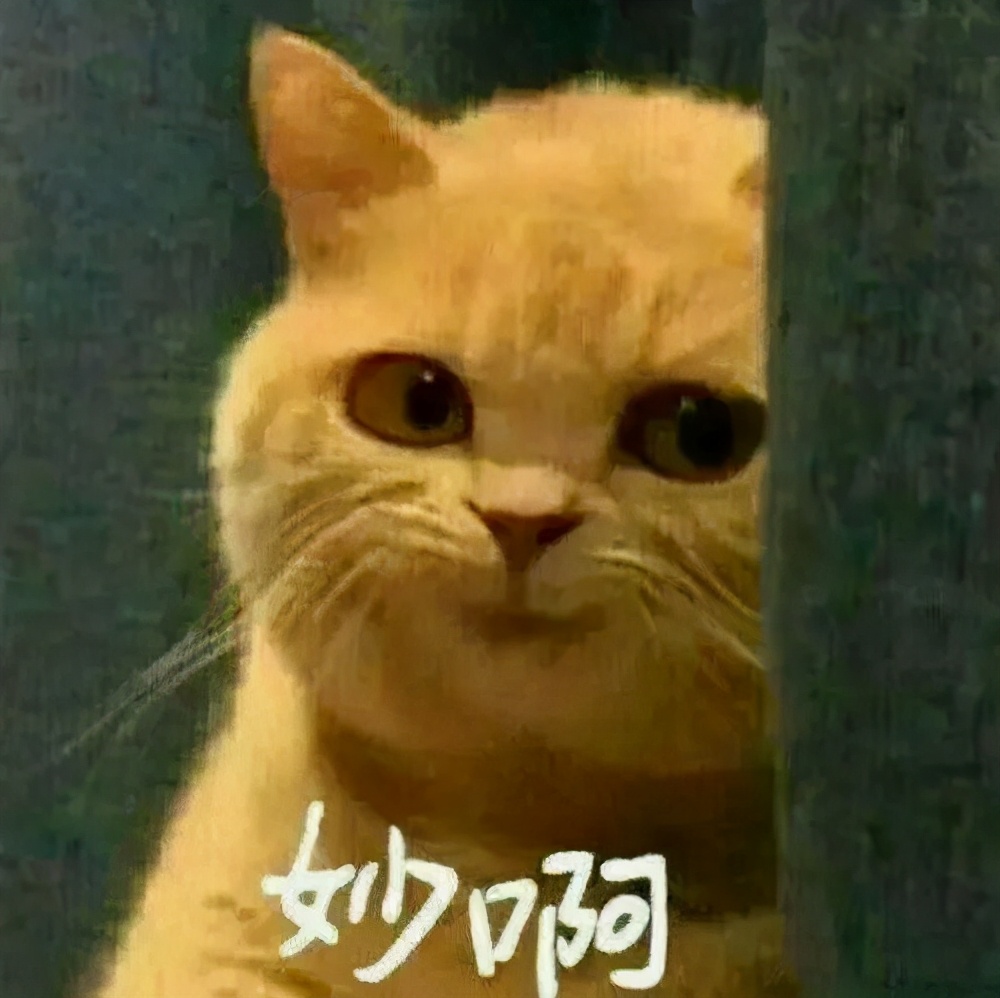 天津网红打卡点攻略,天津网红打卡地一览表