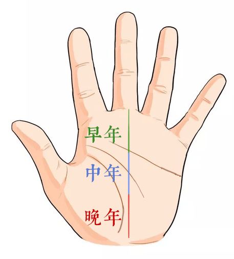 最命苦的手相手型,手中间一条直纹是什么手相