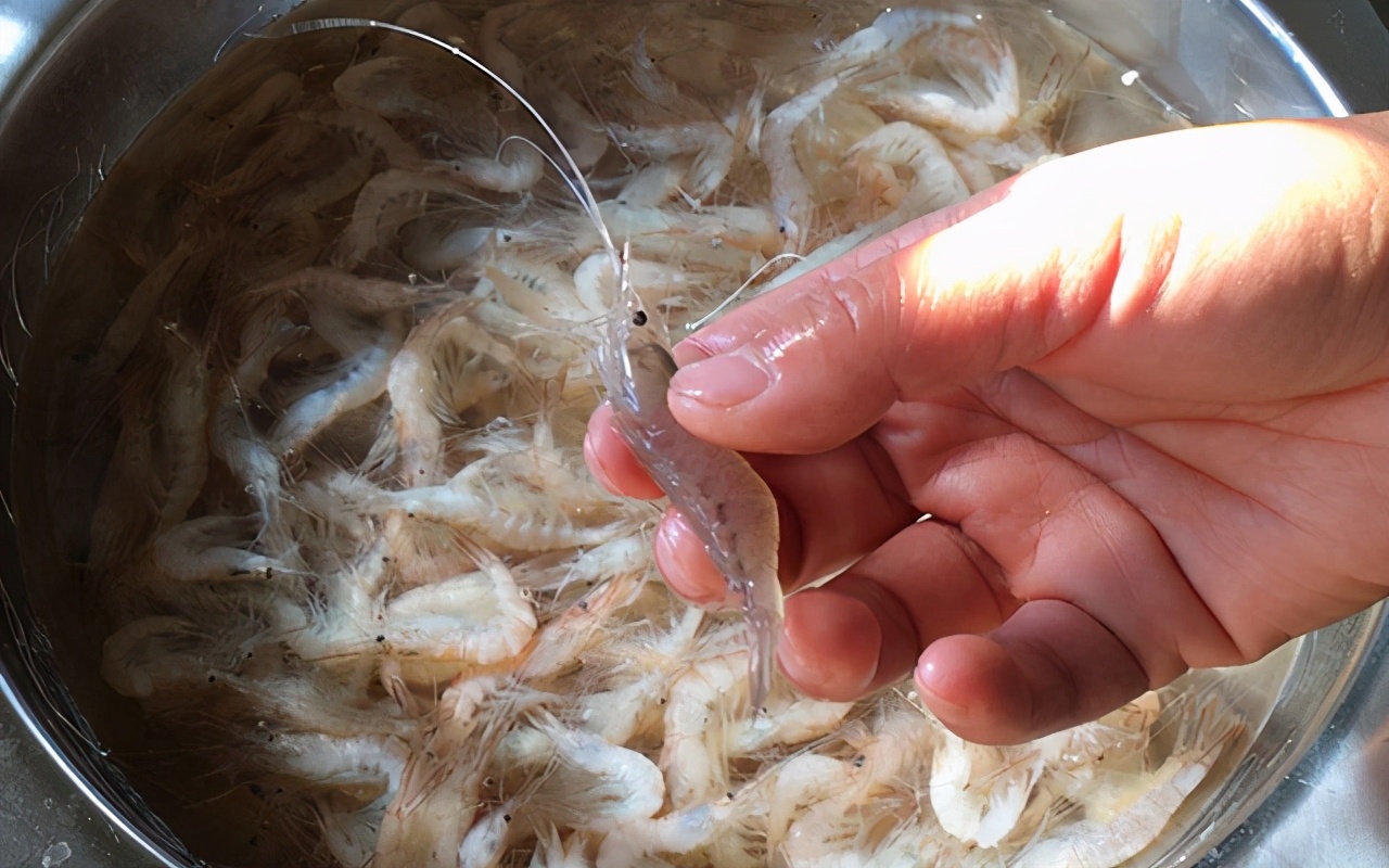 安徽油饼子的家常做法又软又酥,油饼子的正宗做法