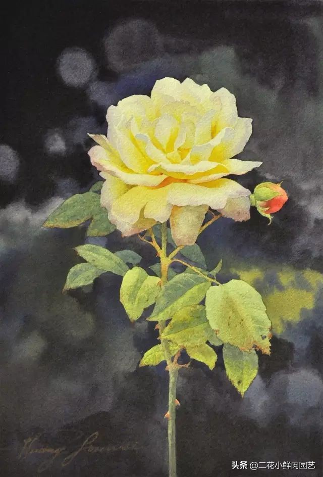 100种花卉绘画,100多张花卉线描手稿素材赶快收藏