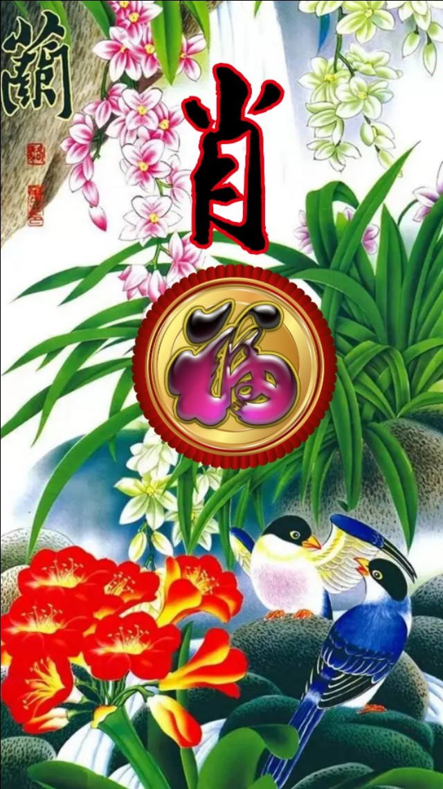 精美兰花壁纸图,兰花高贵壁纸