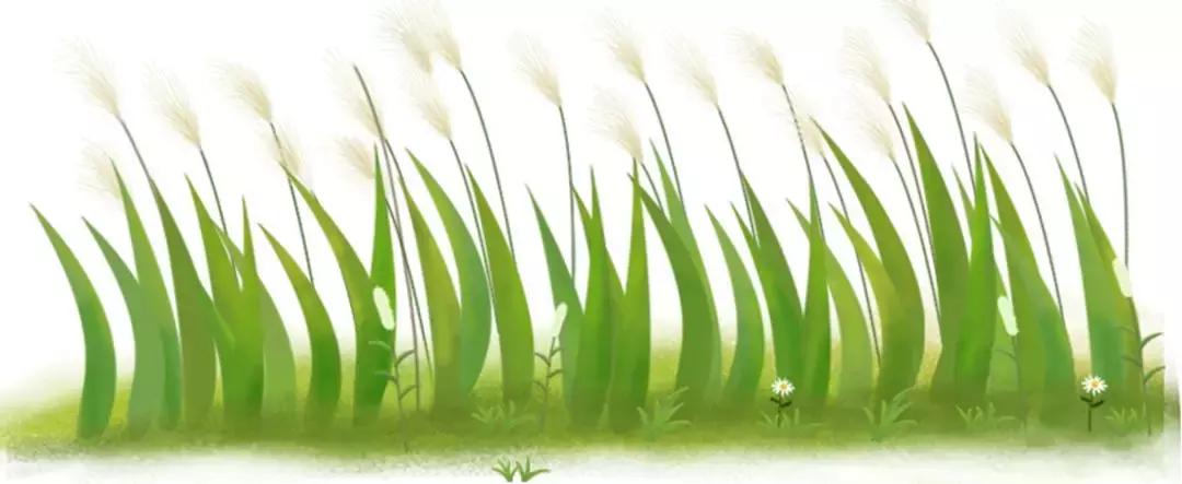 肠胃炎发作真要命,应急方法在这,能有效缓解症状!