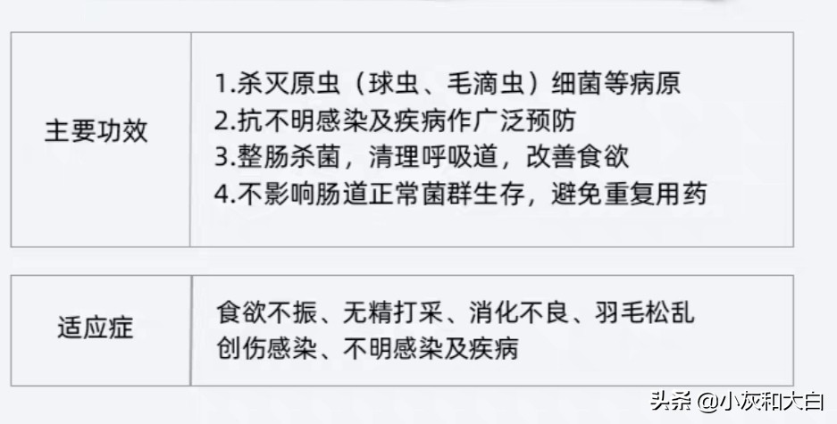 小鸟病得很严重怎么办,小鸟生病了该怎么照顾