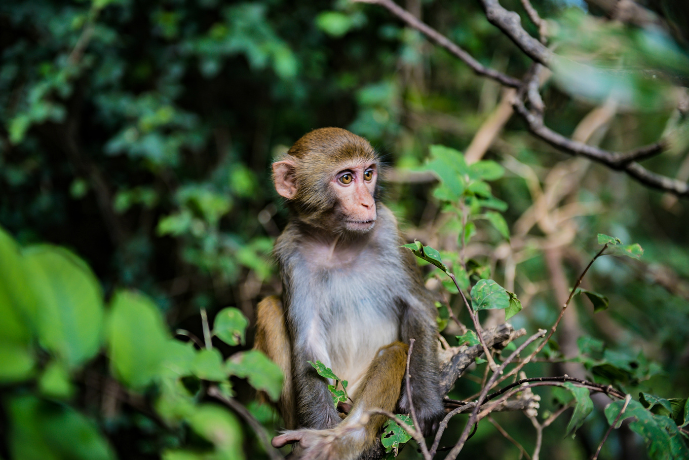 你在南方瑟瑟发抖，我在这里遛娃、看猴、赶海····