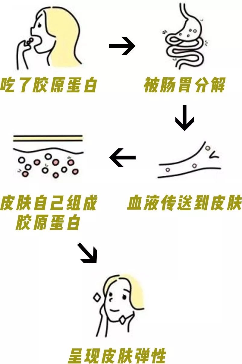 胶原蛋白真实测评打假,胶原蛋白真相大求真