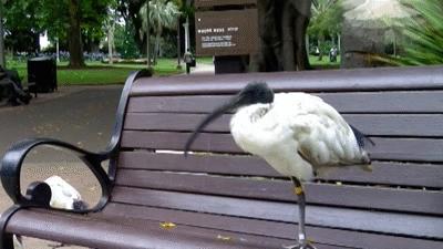 各国秘密间谍行动,各国间谍战有多凶险