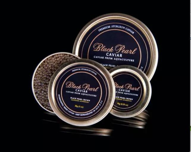 活动邀约｜BlackSwanParty年度黑天鹅派对盛装即将登录外滩