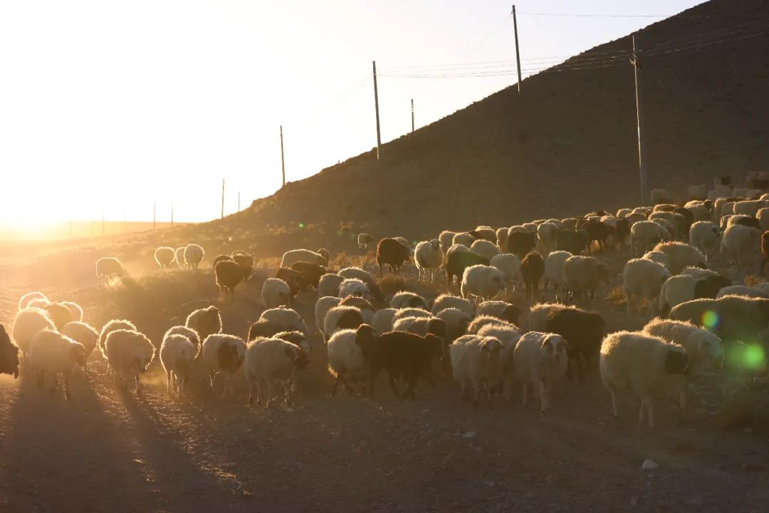 媲美新疆的地方,媲美西藏大北线的新疆自驾路线