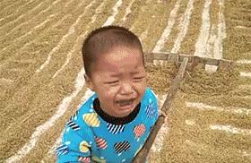 搞笑gif图妹子你这智商真是堪忧啊,妹子超搞笑gif