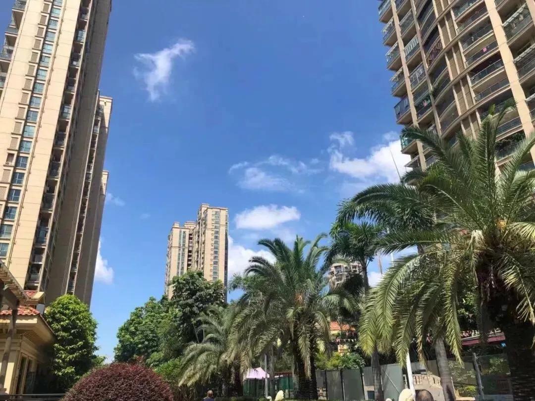 深圳龙岗中心城新楼盘,龙岗中心城好吗