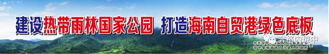 加入我们！让您的未来无限可能！琼中电商服务站站长招募令！