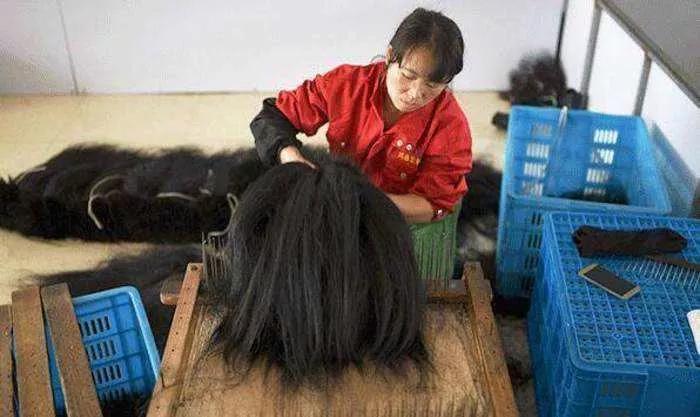 鞠婧祎代言假发混剪视频,鞠婧祎青春环游记假发