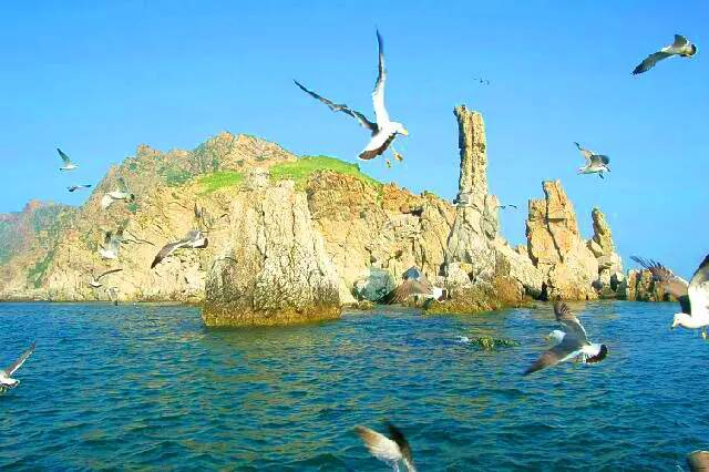 辽宁被低估的城市,辽宁最被低估的省份