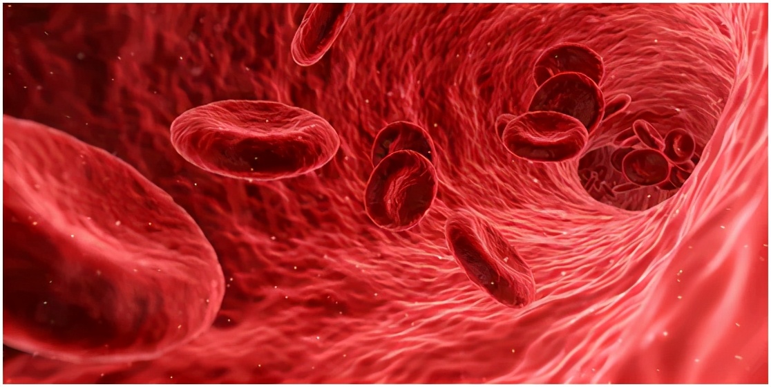 警惕你每天在吃的蔬菜甲醛竟超标,经常吃哪些食物暗藏危险