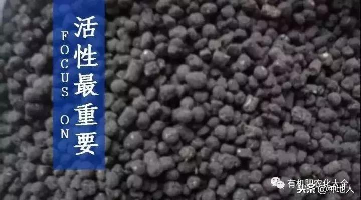 菌肥最好的配方,菌肥施什么土最好