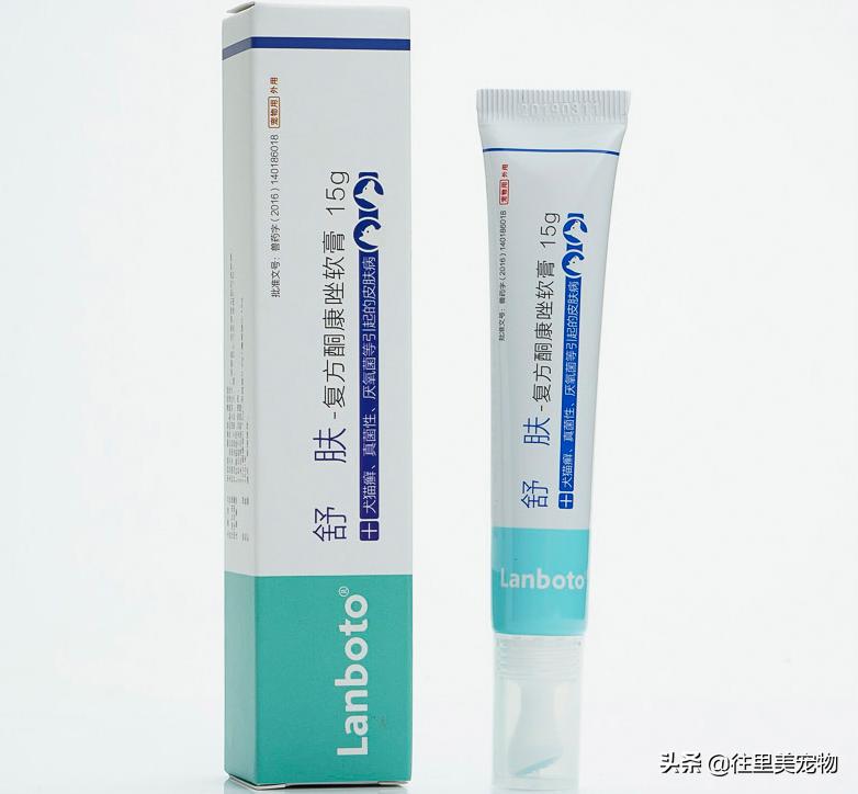 宠物生病可以用什么药,宠物生病必备药品有哪些