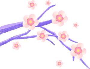 胰岛素延迟和胰岛素抵抗区别,胰岛素高峰延迟是胰岛素抵抗吗