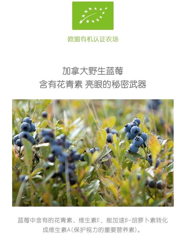 第一口辅食米粉推荐,婴儿第一口辅食小米粉