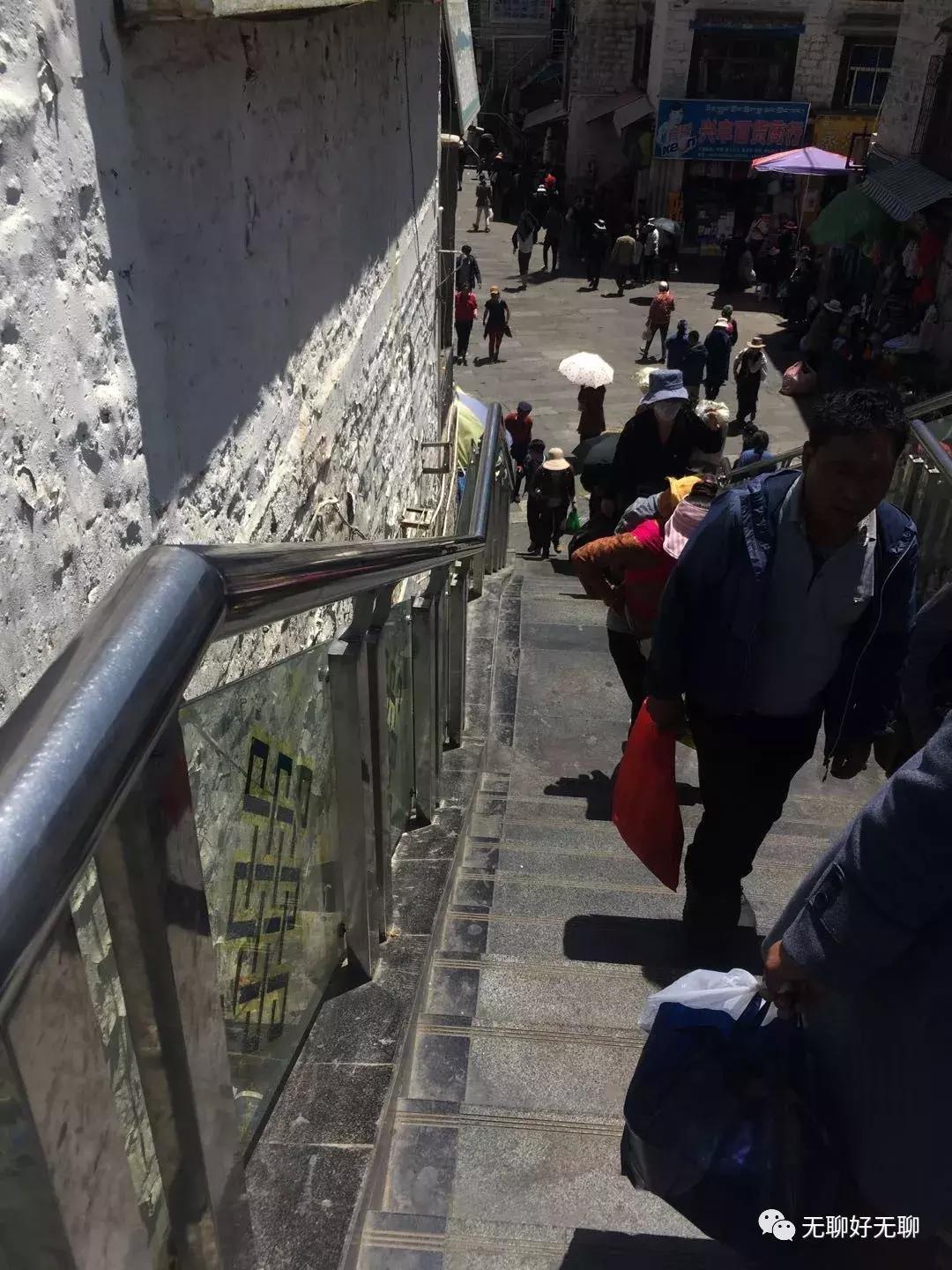 拉萨高原反应红景天,天上拉萨